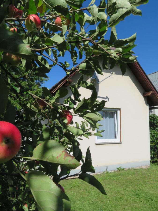 Haus Irmi Bed & Breakfast Knittelfeld Exterior photo